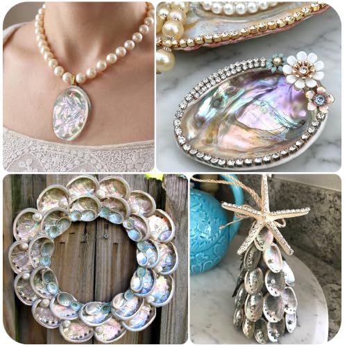 Natural Abalone Shells Set - 60 Small Iridescent Sea Shells for Crafts & Decor