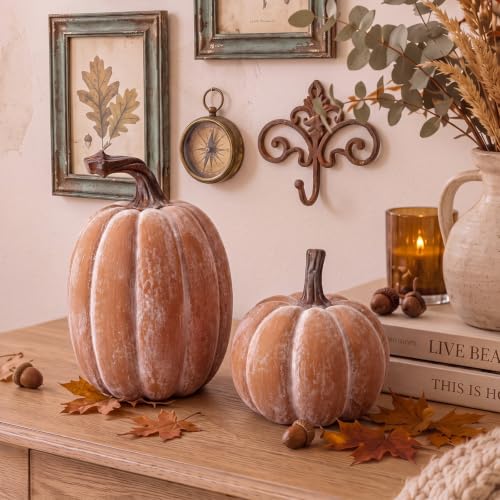 Artificial Resin Fall Pumpkin Decor Set - Terracotta Finish, 2 Pieces