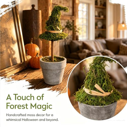 Grey Halloween Witch Hat Topiary Plant with Pot - Artificial Moss Decor