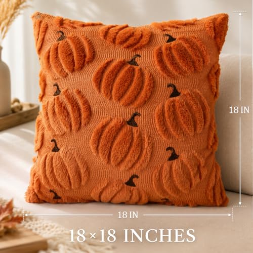 Orange Pumpkin Fall Pillow Covers 18x18 Set of 2 Plush Thanksgiving Decor