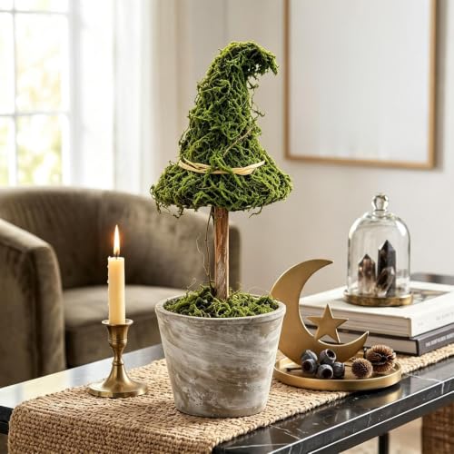 Artificial Moss Witch Hat Topiary Tree in Pot - Gothic Halloween Decor, Green & Brown