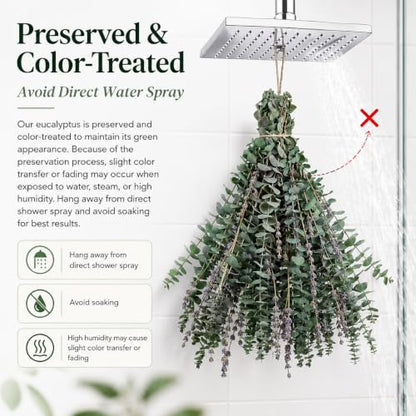 52 PCS Preserved Eucalyptus and Lavender Shower Bundle for Bathroom Decor