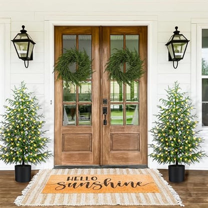 2-Pack 4FT Prelit Norfolk Pine Christmas Trees with LED Lights - Real Touch Artificial Cedar for Indoor Outdoor Decor