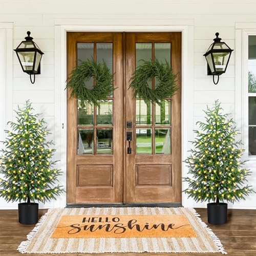 ENVEN 4FT Pre-Lit Norfolk Pine Christmas Tree with Real Touch Foliage - 80 LED Lights, 8 Modes, Potted Faux Tree - 1 Pack