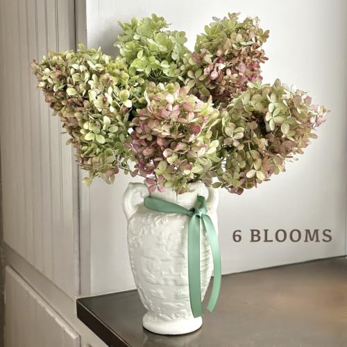 Dried Hydrangea Flowers Set - Large Natural Preserved Blooms for Wreaths & Decor