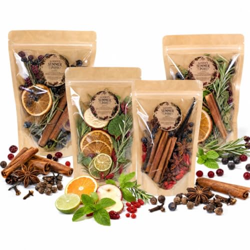 Christmas Stovetop Potpourri Kit with Dried Botanicals - 4 Pouches