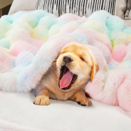DREAMNINE Soft Faux Bubble Rabbit Fur Throw Blanket - Cozy Colorful Fuzzy Blanket for Couch | 50x60 Inches, Rainbow