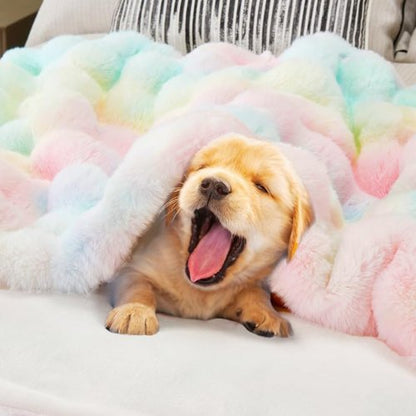 DREAMNINE Soft Faux Bubble Rabbit Fur Throw Blanket - Cozy Colorful Fuzzy Blanket for Couch | 50x60 Inches, Rainbow