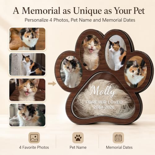 Walnut Personalized Wooden Pet Memorial Shadow Box for Pet Hair & Keepsakes