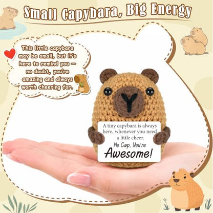 Positive Capybara Birthday Gift for Kids - Cute Basket Stuffers for Boys & Girls