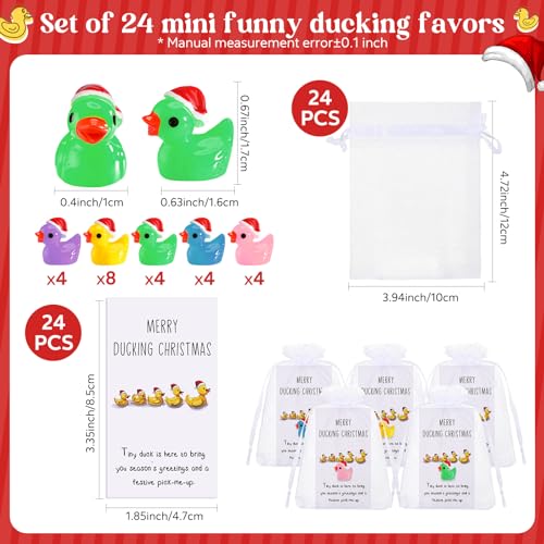 Bright Christmas Inspirational Gift Set with Ducks & Motivational Cards - 24 Sets
