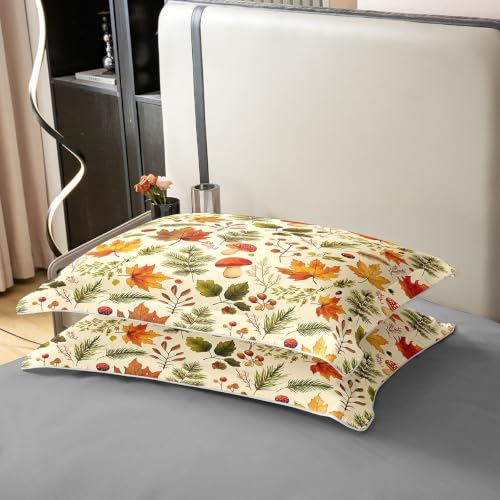 Fall Harvest Cotton Duvet Cover Set for Kids Twin Bed - Orange Green