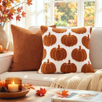 Fall Pumpkin Pillow Covers Set of 2 - 18x18 Rust Harvest Decor