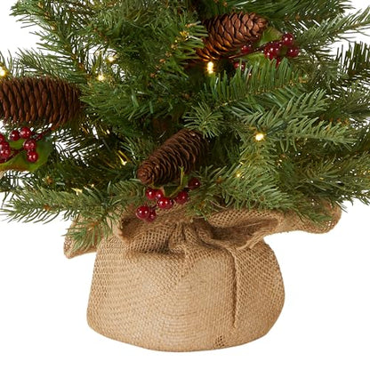 2ft Pre-Lit Nordic Spruce Mini Christmas Tree - Feel Real Artificial Holiday Tree