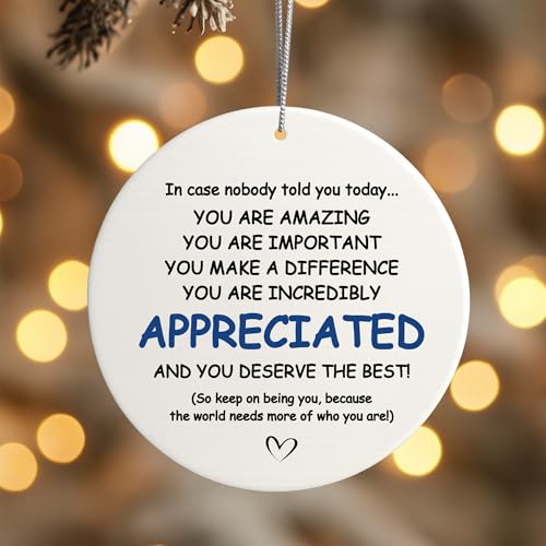 You Are Appreciated Nurse Teacher Retirement Ornament - Holiday Gift for Coworkers