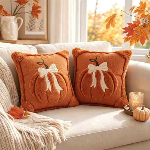18x18 Inch Fall Pumpkin Pillow Covers Set of 2 - Autumn Thanksgiving Decor