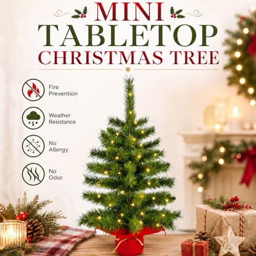 2ft Pre-Lit Artificial Mini Christmas Tree with Warm White LED Lights