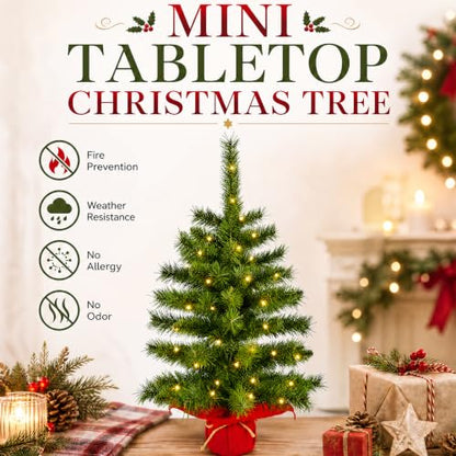 2ft Pre-Lit Artificial Mini Christmas Tree with Warm White LED Lights