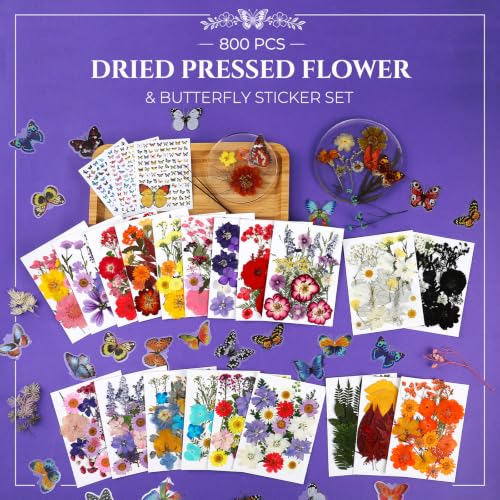 Multi-Color 800 PCS Dried Pressed Flowers for Resin Crafts and DIY Projects