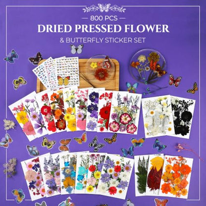 Multi-Color 800 PCS Dried Pressed Flowers for Resin Crafts and DIY Projects