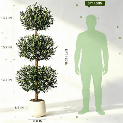 Artificial Olive Tree 5ft with White Planter & Moss - Three Ball Topiary (Variation 1)
