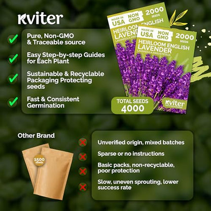 English Lavender Seeds Heirloom 2 Pack - Fragrant Herb for Garden & Aromatherapy