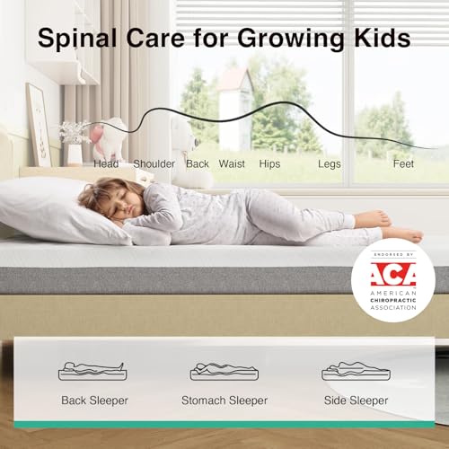 Novilla Bliss Green Tea Memory Foam Twin Mattress, Twin Mattress 10 Inch for Kids for Refreshing Sleep with Cool-Touch Nylon Cover, Zone Support & Pain Relief with CertiPUR-US Certified Foams