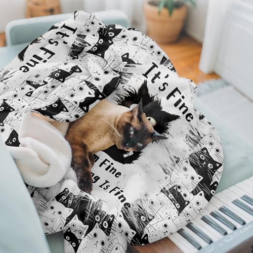 Cat Blanket for Cats Lovers 50x40 Inches Black Kitten Design Cozy Throw