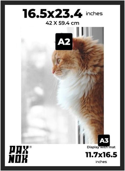A2 Picture Frame - Premium Glossy Black Plastic with Shatterproof Plexiglass | 16.5"x23.4" for Art & Photos