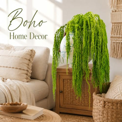 Natural Dried Amaranthus Hanging Flowers - Green Tassel Blooms, 23-27 Inches