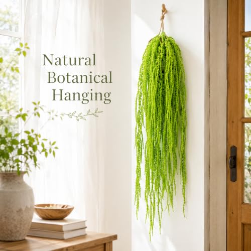 Natural Dried Amaranthus Hanging Flowers - Green Tassel Blooms, 23-27 Inches