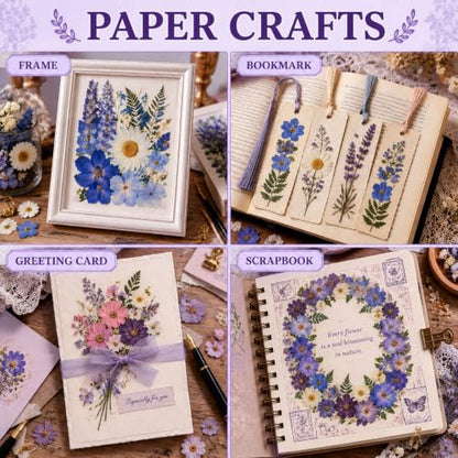 76 Pcs Natural Dried Flowers for Resin Crafts, Pressed Flower Decorations