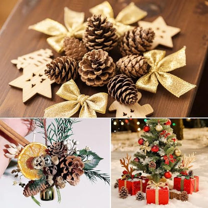 Natural Pine Cone Decorations for Christmas & Autumn - 65 pcs Bulk Set