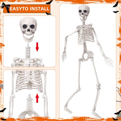 3Ft Life Size Posable Skeleton for Halloween Decorations - Realistic Full Body Design