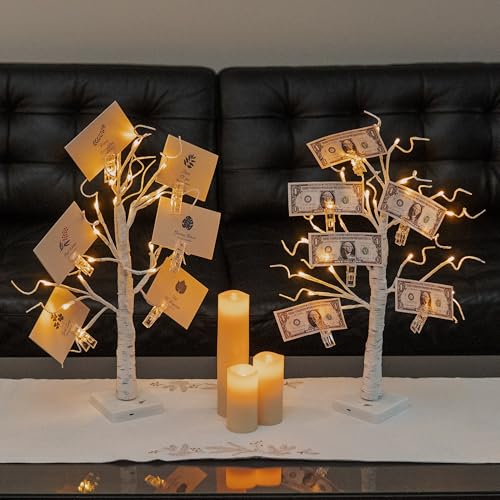 Lighted Money Tree Gift Holder with USB & Timer - 2FT Birch Tree for Holiday Decor