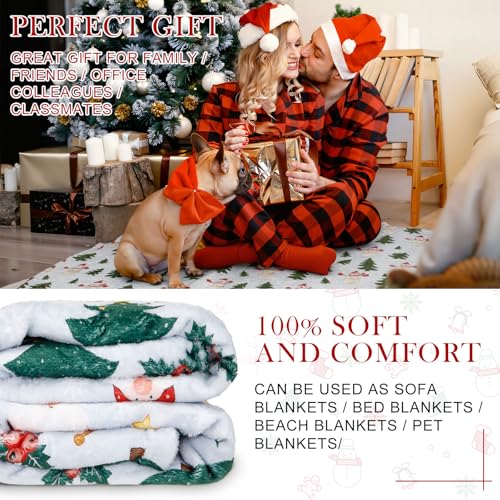 Gnome Throw Blanket Set - Blue Fleece Winter Gnome Decor, 50x60 Inches