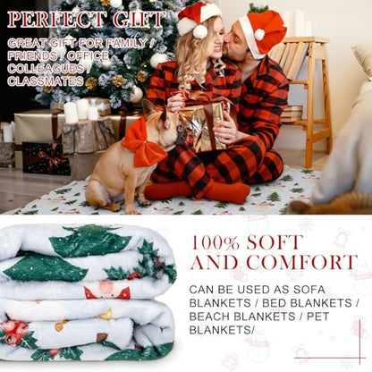 Gnome Throw Blanket Set - Blue Fleece Winter Gnome Decor, 50x60 Inches