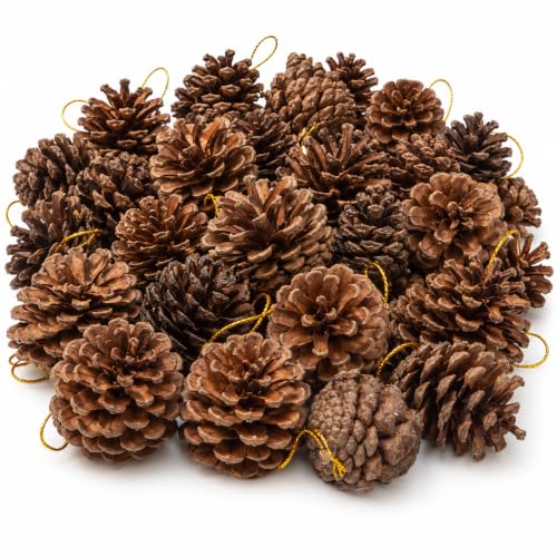 Brown Natural Pine Cones for Crafts and Holiday Decorations - 30Pcs