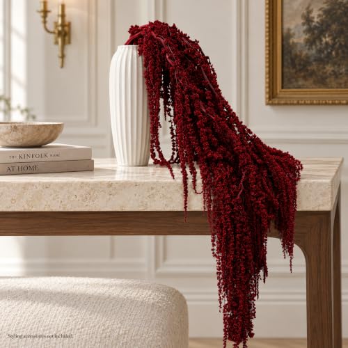 10 Pcs Dried Burgundy Amaranthus Stems for Wedding Arch Decor - 23 Inch
