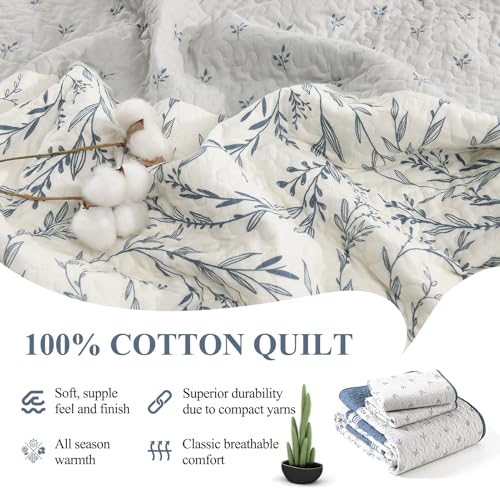 Oversized Cotton King Quilt Set with Botanical Stripe Design - Moonlight Blue/Gray/Off White, 106"x118"