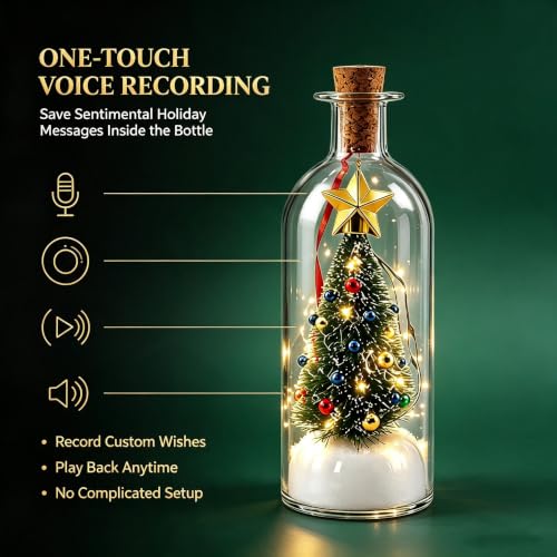 Christmas Snow Globe with Voice Recording and Festive Scene