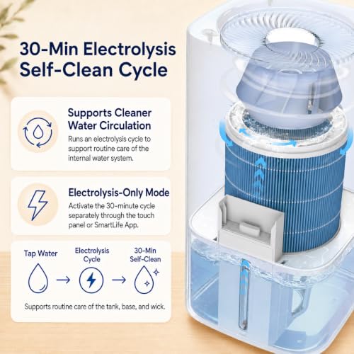 Smart Evaporative Humidifier with Separate Humidity Sensor 6L