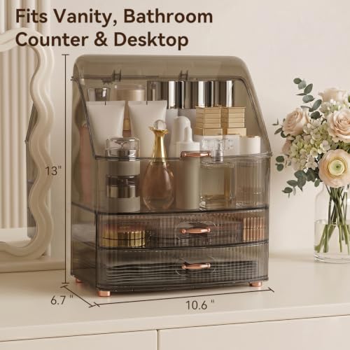 Clear Makeup Organizer Countertop with Lid & 2 Drawers for Vanity
