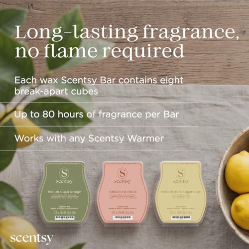 Sunlit Citrus Wax Melts Set - 3 Varieties for Home Fragrance