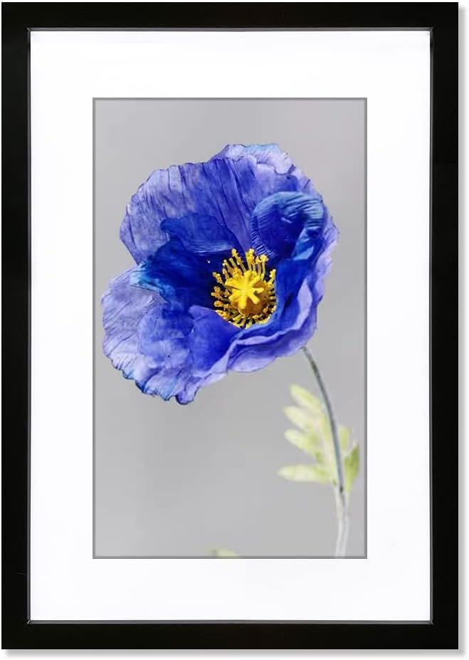 VNVNK 20x28 Black Picture Frame - Ideal for 20x28 Inch Photos Without Mat or 16x24 Inch With Mat | Home Decor