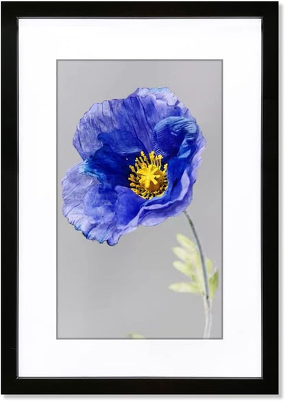 VNVNK 20x28 Black Picture Frame - Ideal for 20x28 Inch Photos Without Mat or 16x24 Inch With Mat | Home Decor