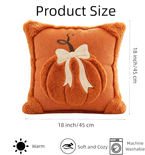 18x18 Inch Fall Pumpkin Pillow Covers Set of 2 - Autumn Thanksgiving Decor