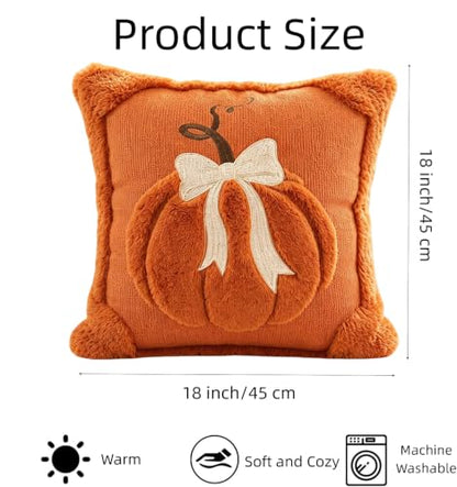 18x18 Inch Fall Pumpkin Pillow Covers Set of 2 - Autumn Thanksgiving Decor