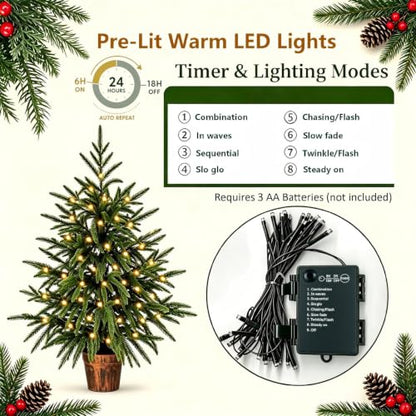 Green 2ft Prelit Artificial Norfolk Pine Christmas Tree - Indoor Decor