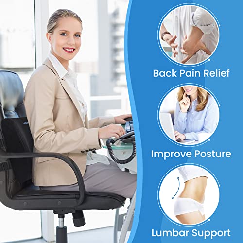 LumbarPal Lumbar Support Pillow for Office Chair Back Support Lumbar Pillow for Car, Gaming, Office Chair - Improve Sitting Posture & Back Pain Relief, Memory Foam, Adjustable Straps, Black